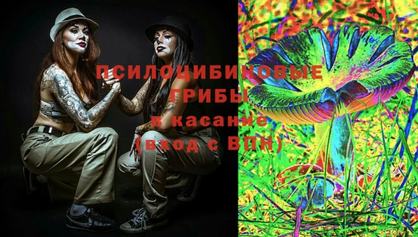 apvp Алексин