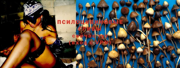 apvp Алексин