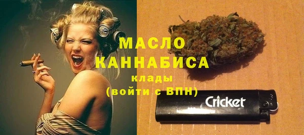 дмт Абаза