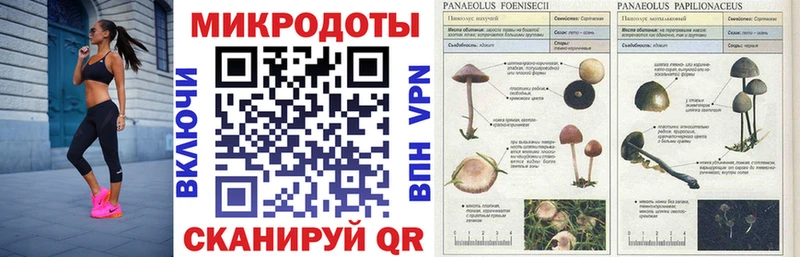 Галлюциногенные грибы ЛСД хочу наркоту Талдом